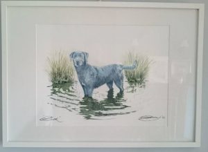 Framed Fine Art Watercolour Commission of A Dog Pet Portrait By Darren Graham of Ephraim Art Studio